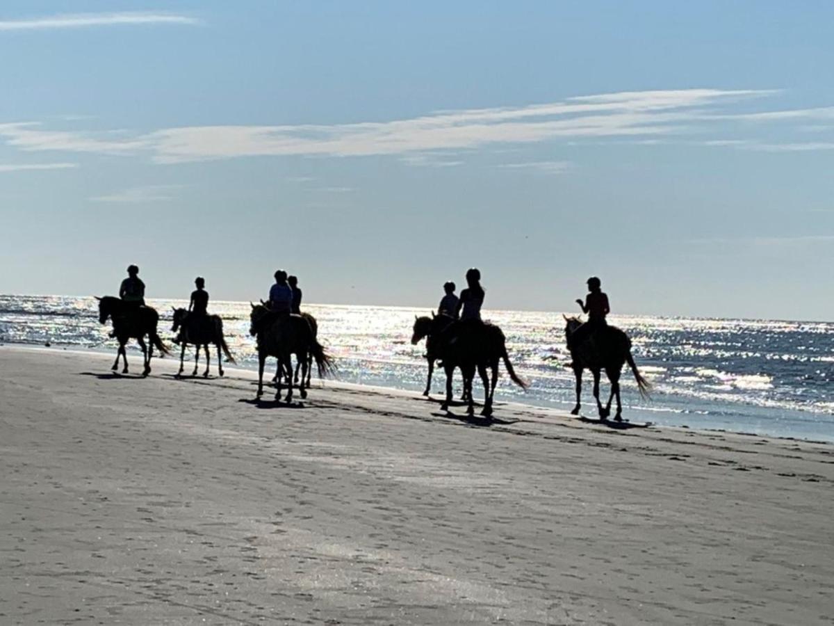 1313 Pelican Watch - Seabrook Island - Beachfront 5 Star Condo - Fido Friendly 外观 照片